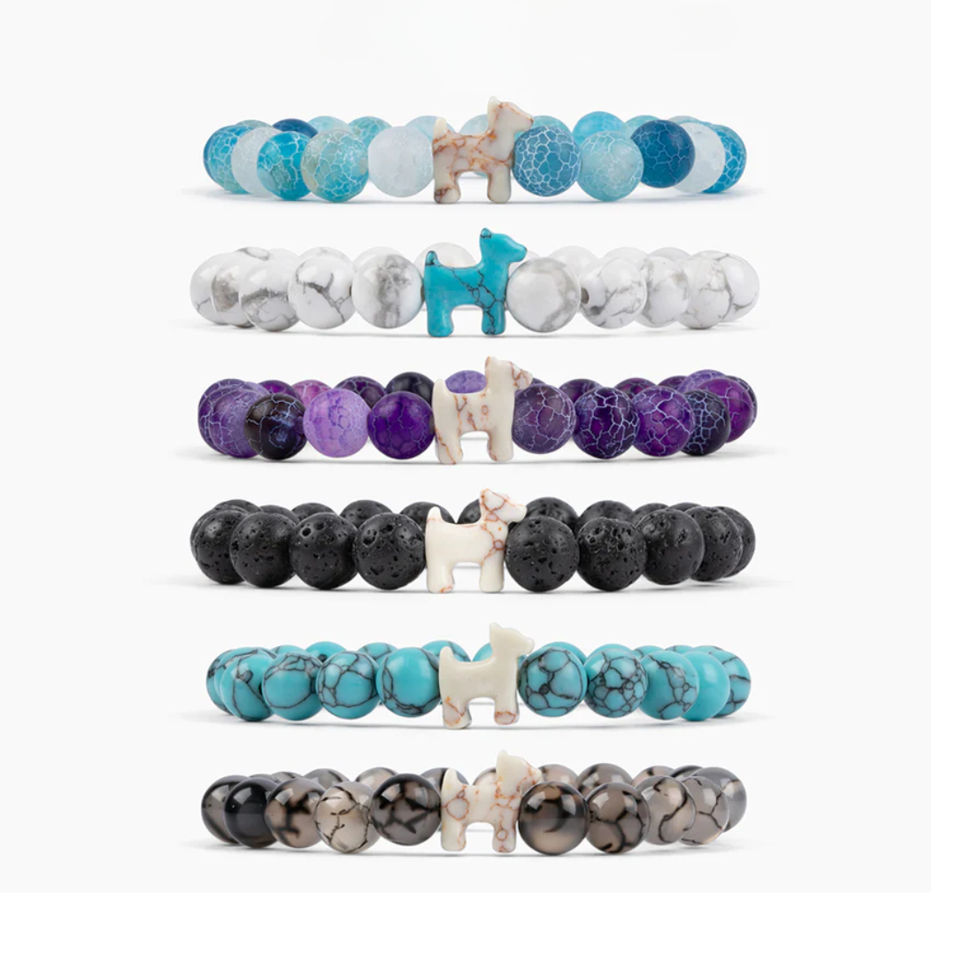 Feed The Strays Bracelet