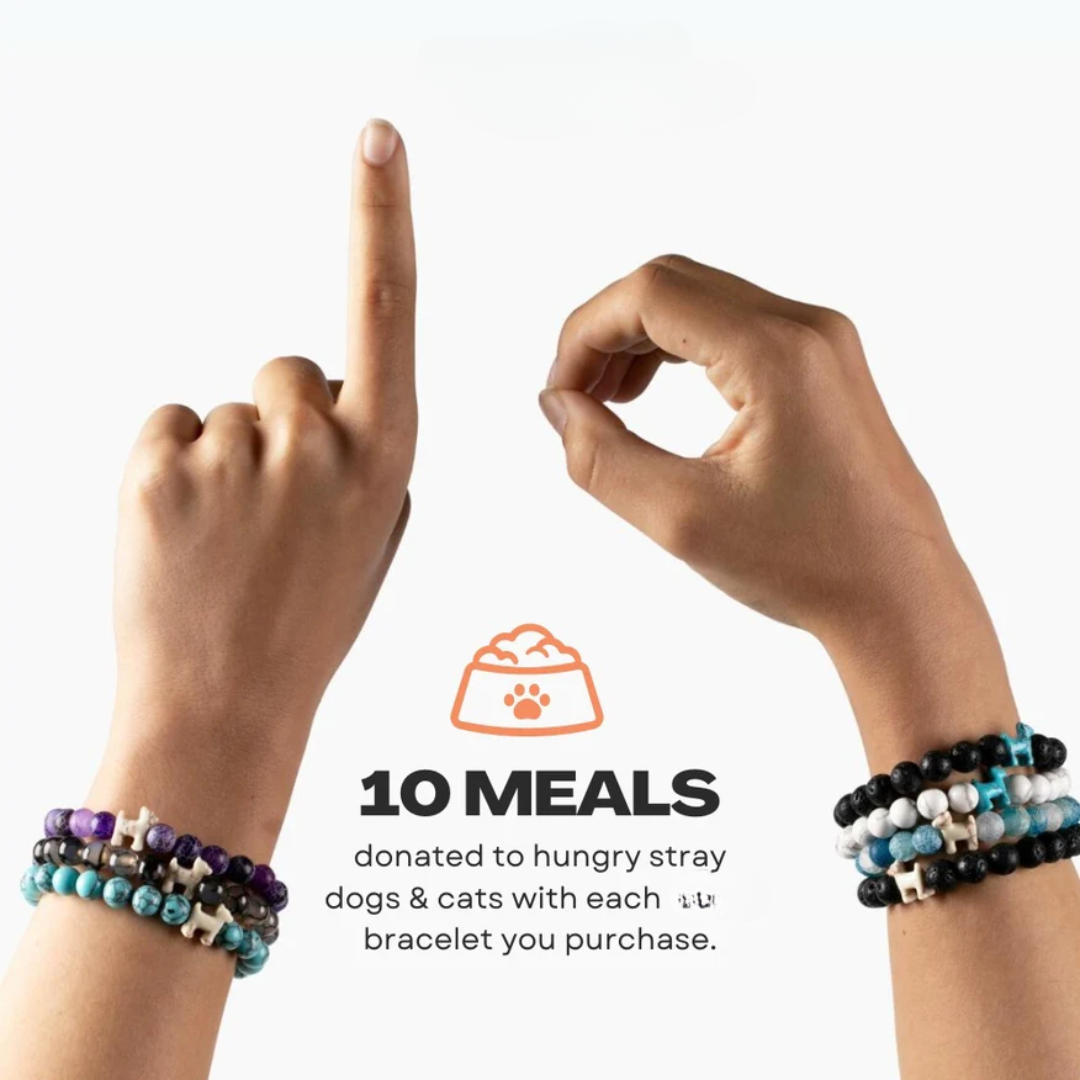 Feed The Strays Bracelet