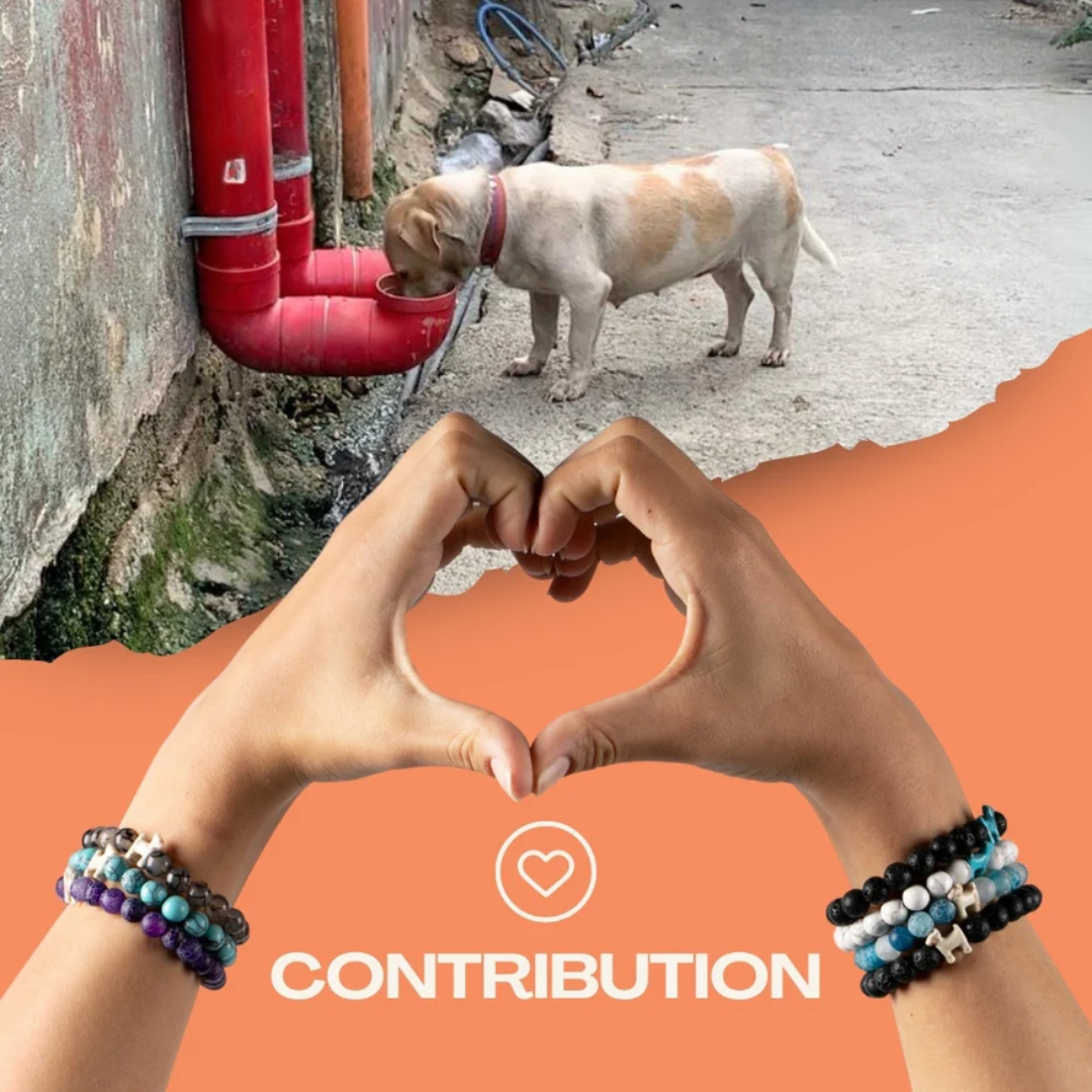 Feed The Strays Bracelet